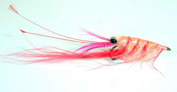 Crangon Shrimp - Shrimp Pink #6