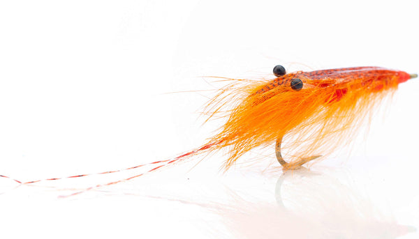 Agerskov mallard Shrimp - Orange #6